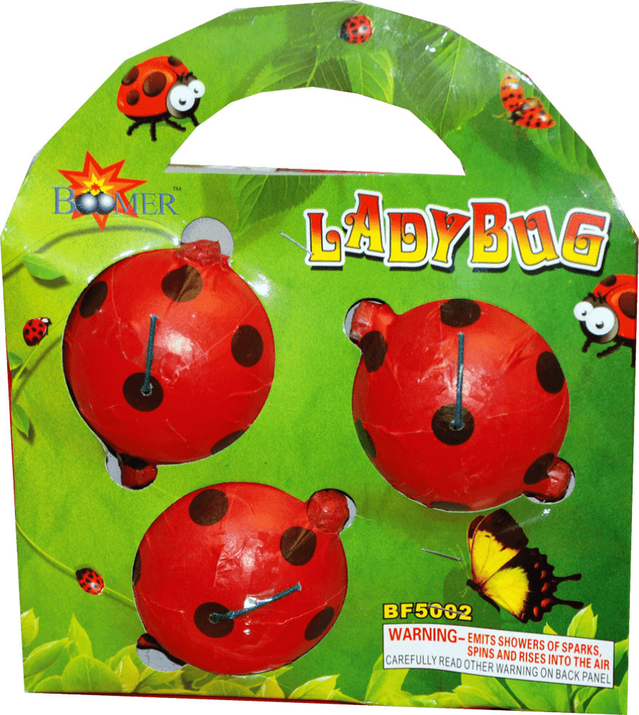 Lady Bugs