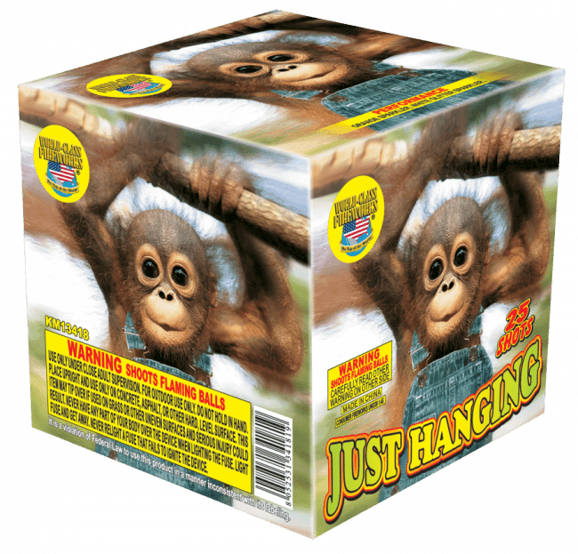 Just Hanging